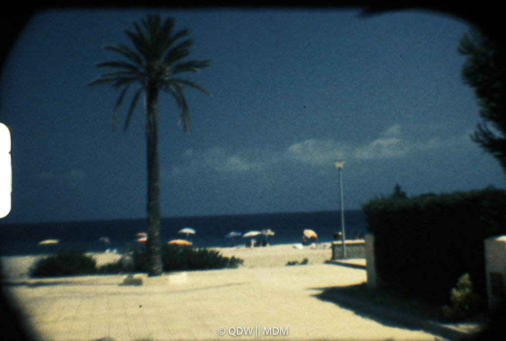 Frame 0182