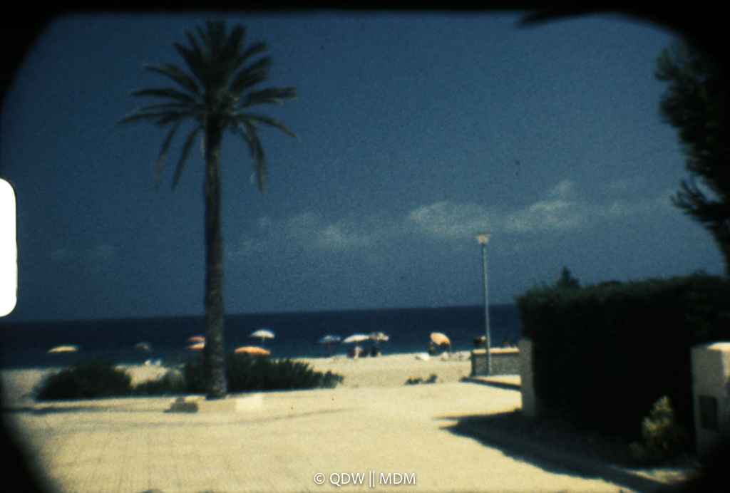 Frame 0187