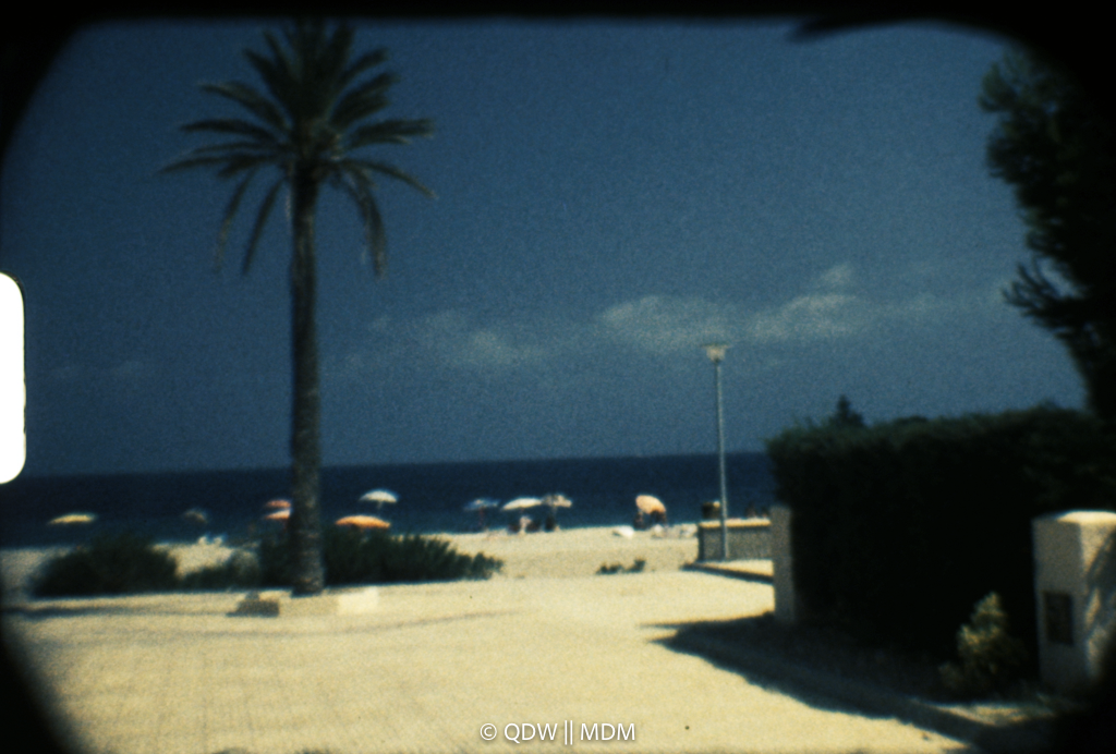 Frame 0195