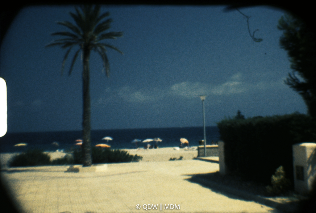 Frame 0198