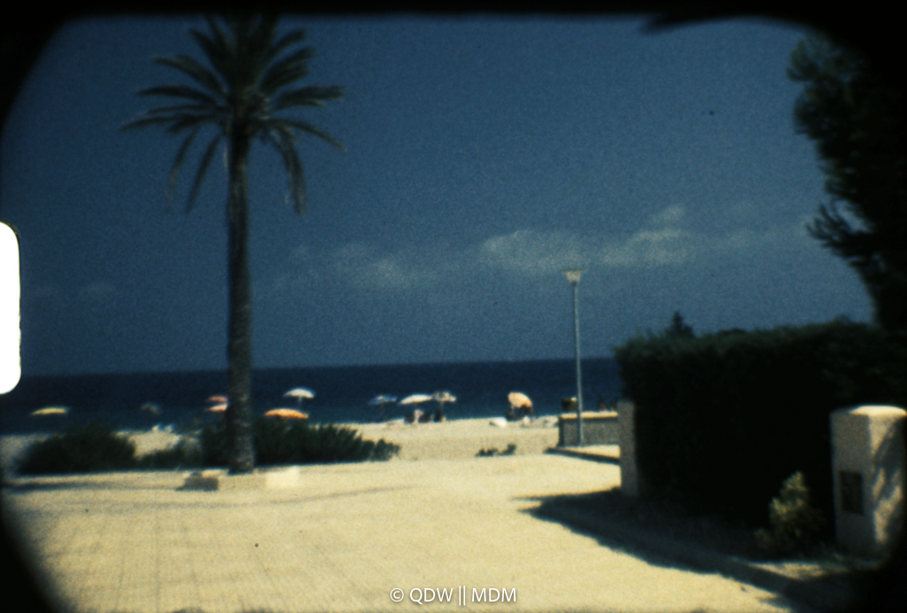 Frame 0202