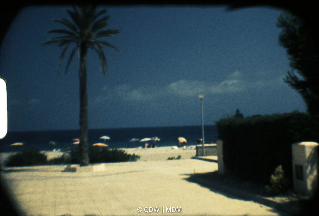 Frame 0204