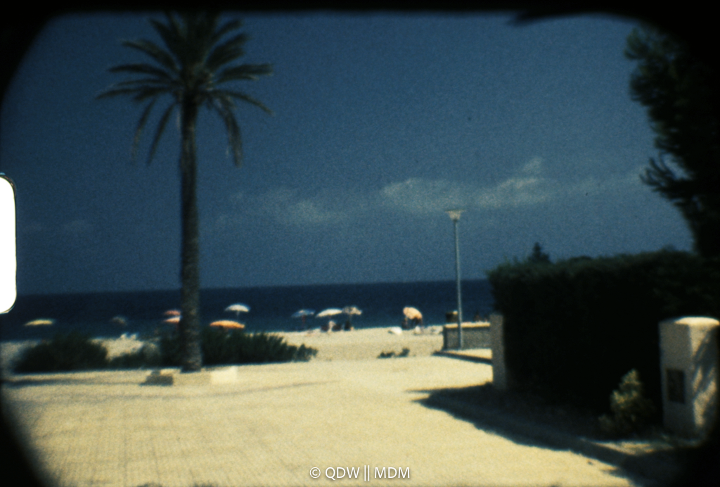 Frame 0206