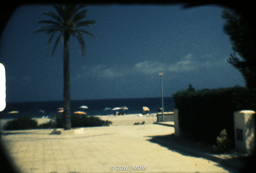 Frame 0210