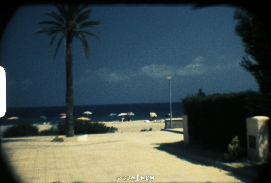 Frame 0211