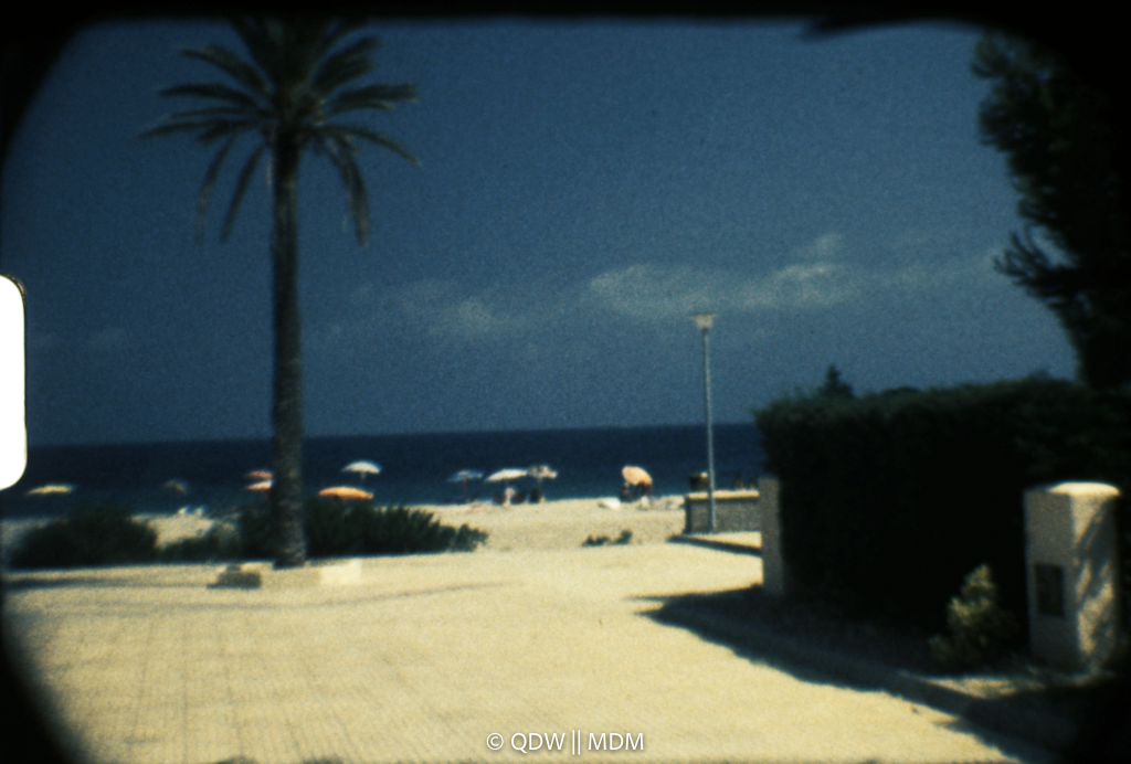 Frame 0213