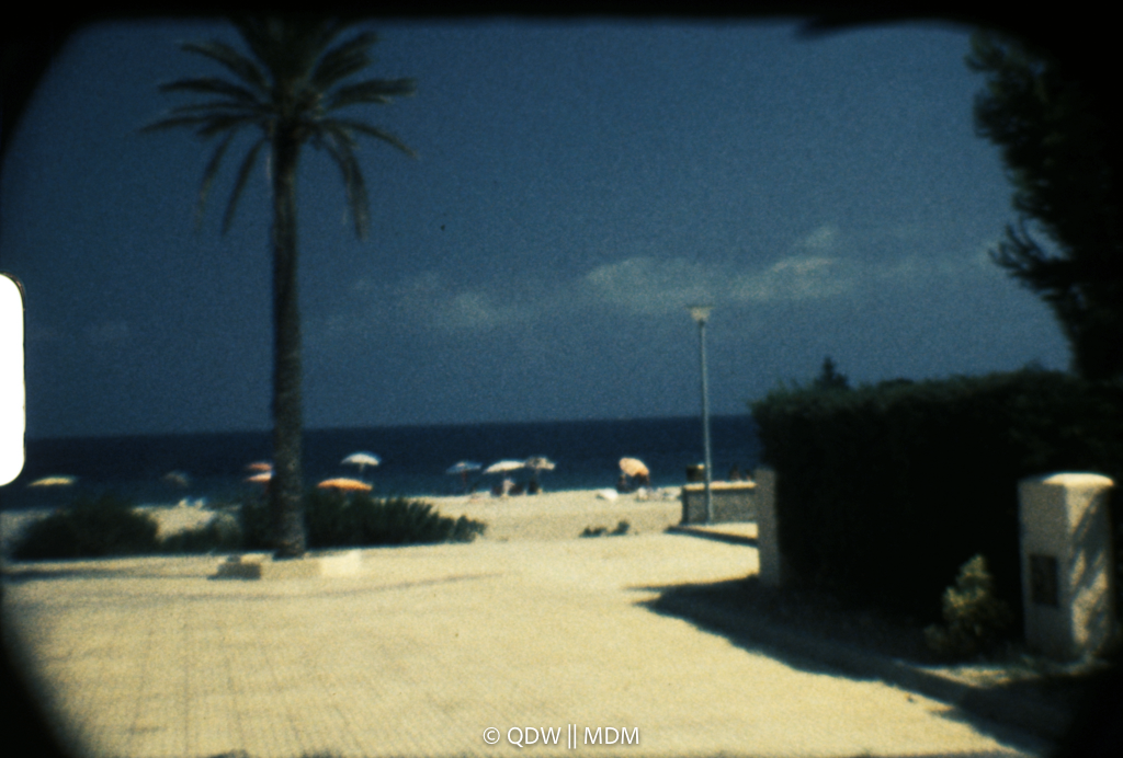 Frame 0215