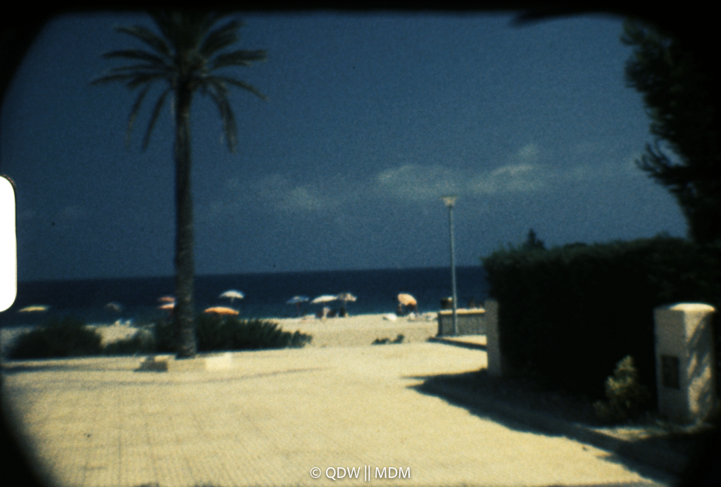 Frame 0216