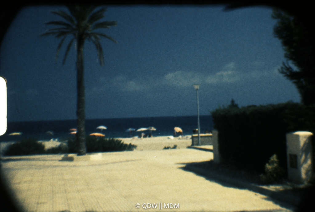 Frame 0217