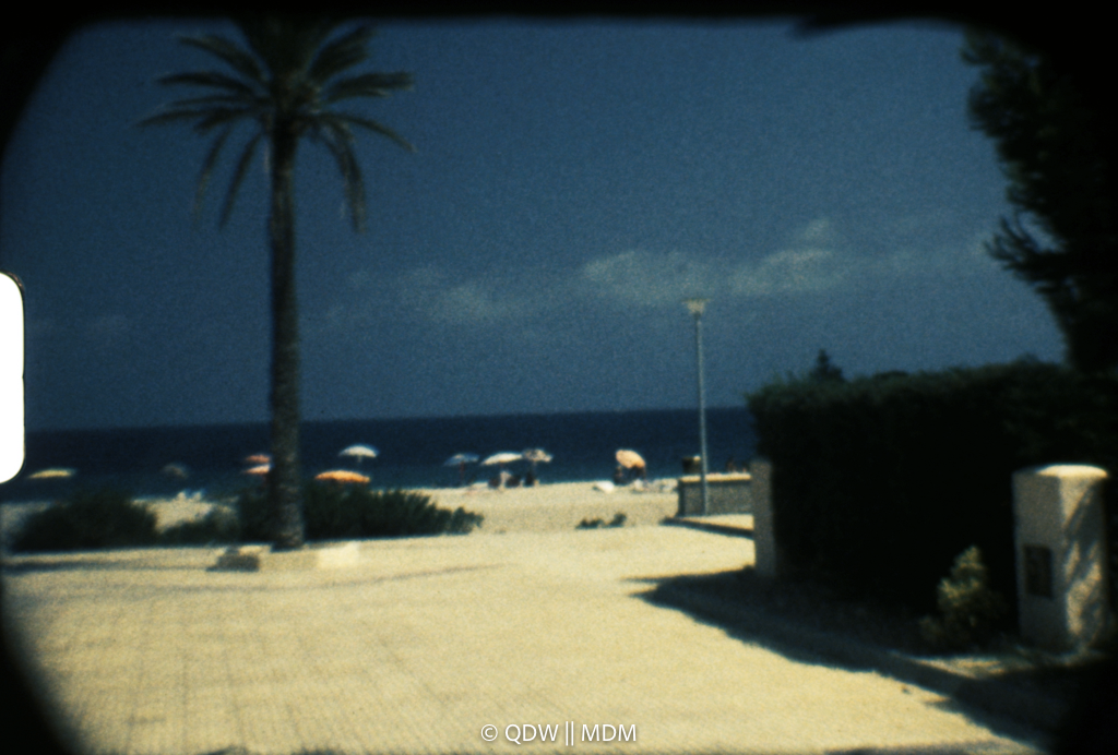 Frame 0218