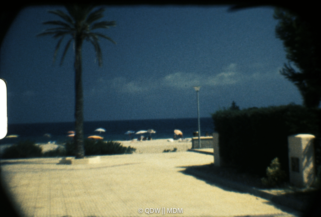 Frame 0223