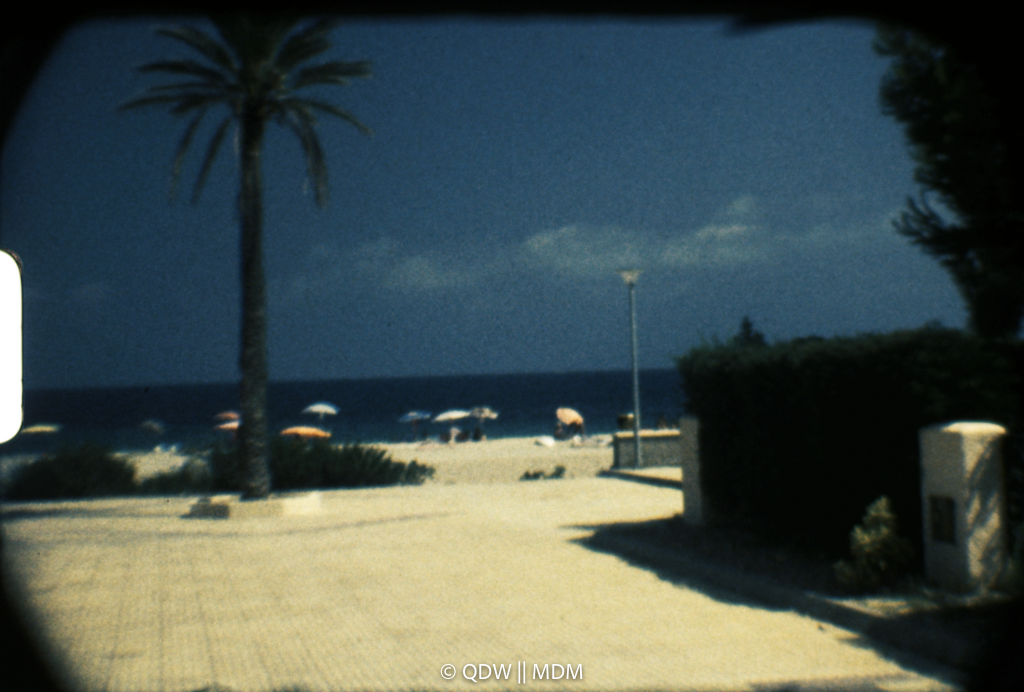 Frame 0226