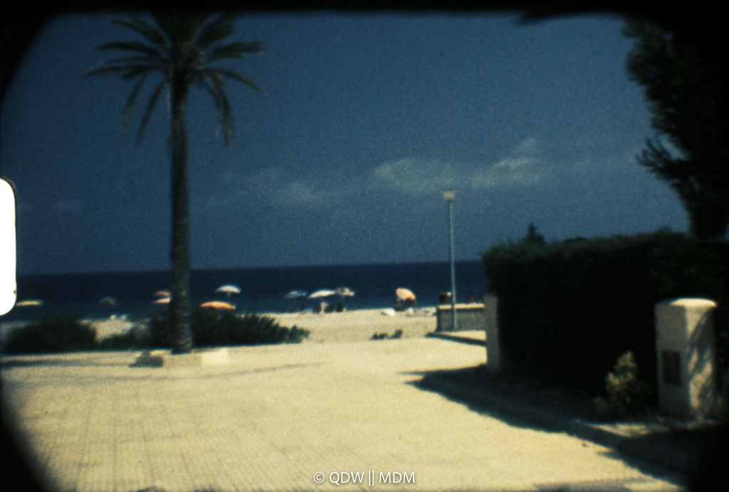 Frame 0227
