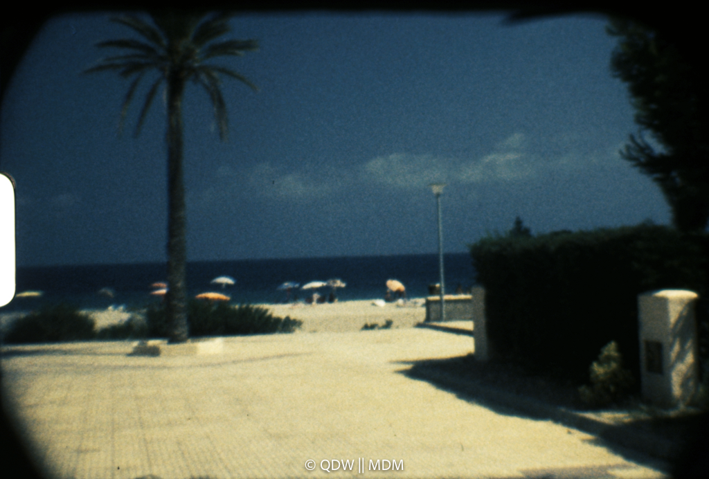 Frame 0228