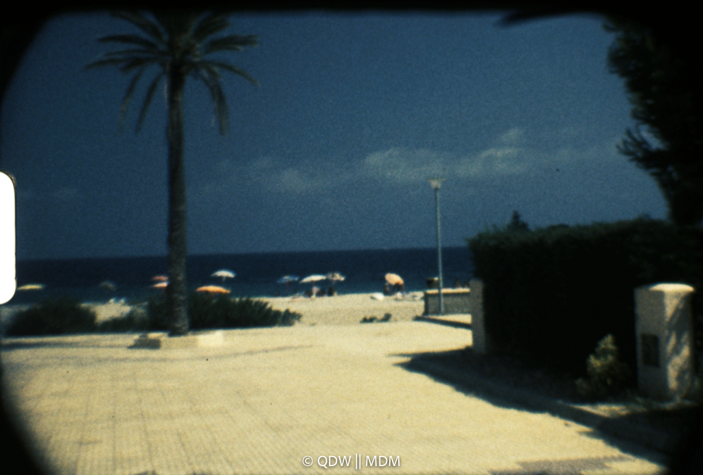 Frame 0232
