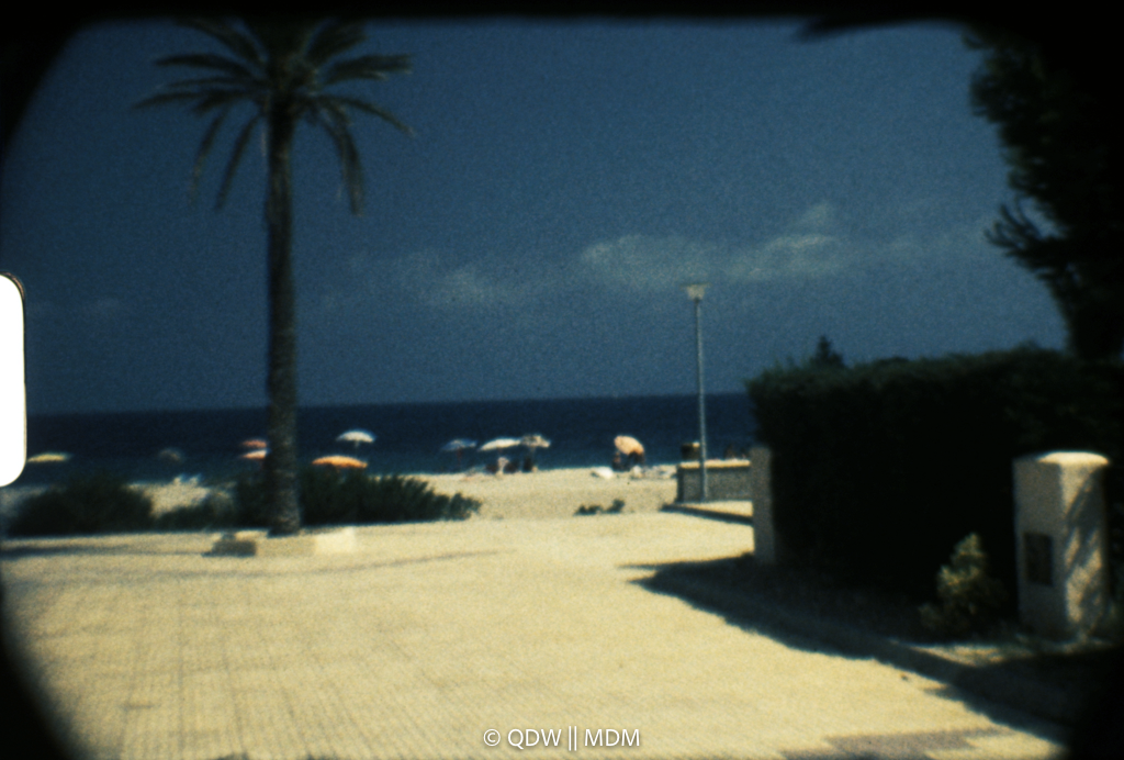 Frame 0233