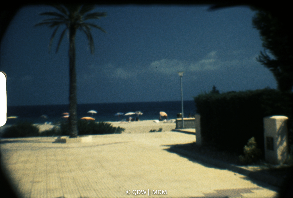Frame 0236