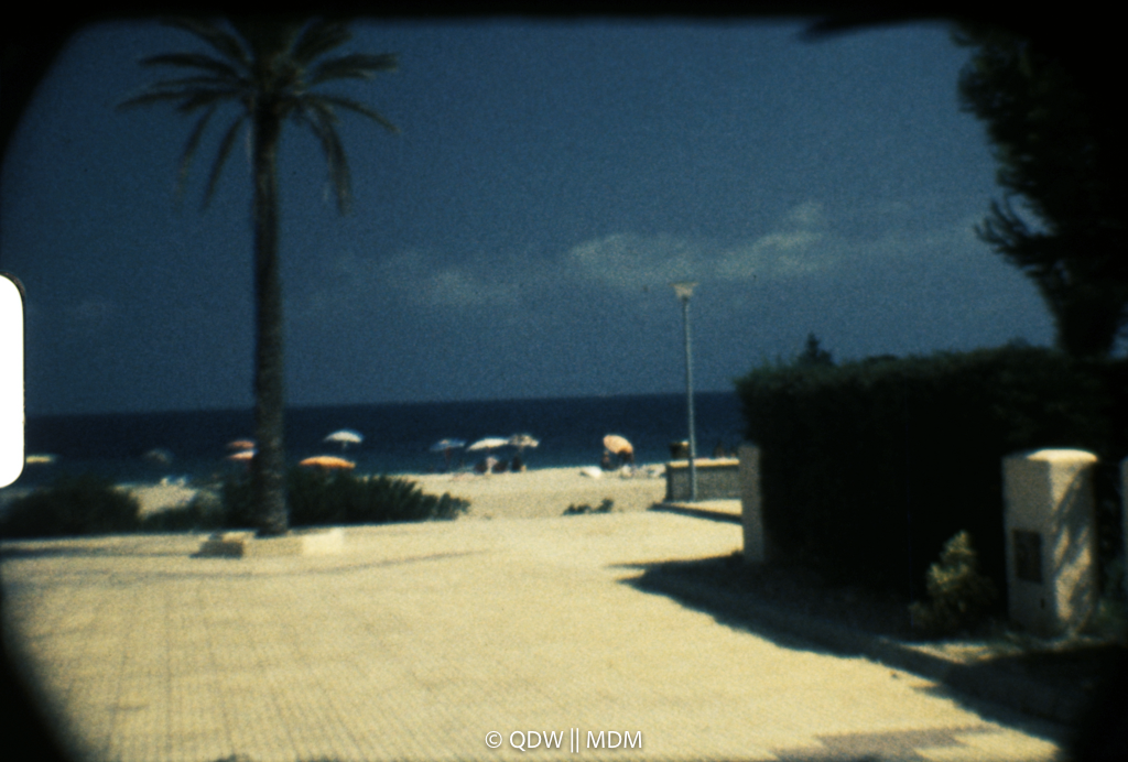 Frame 0242