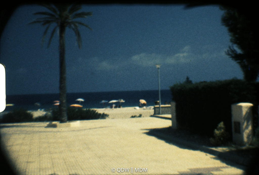 Frame 0244