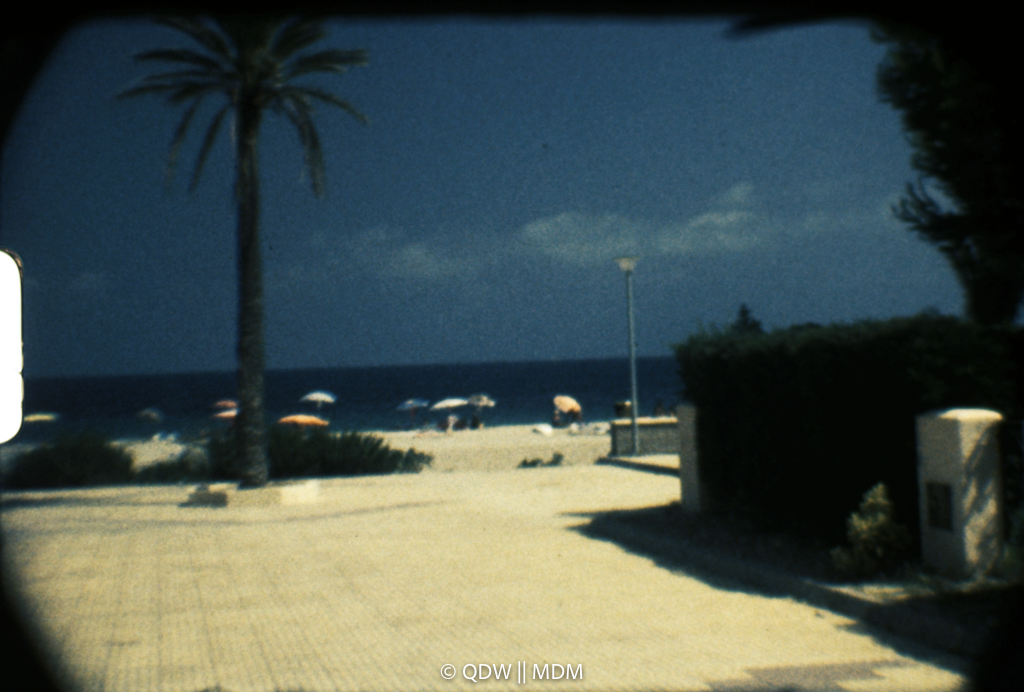 Frame 0246