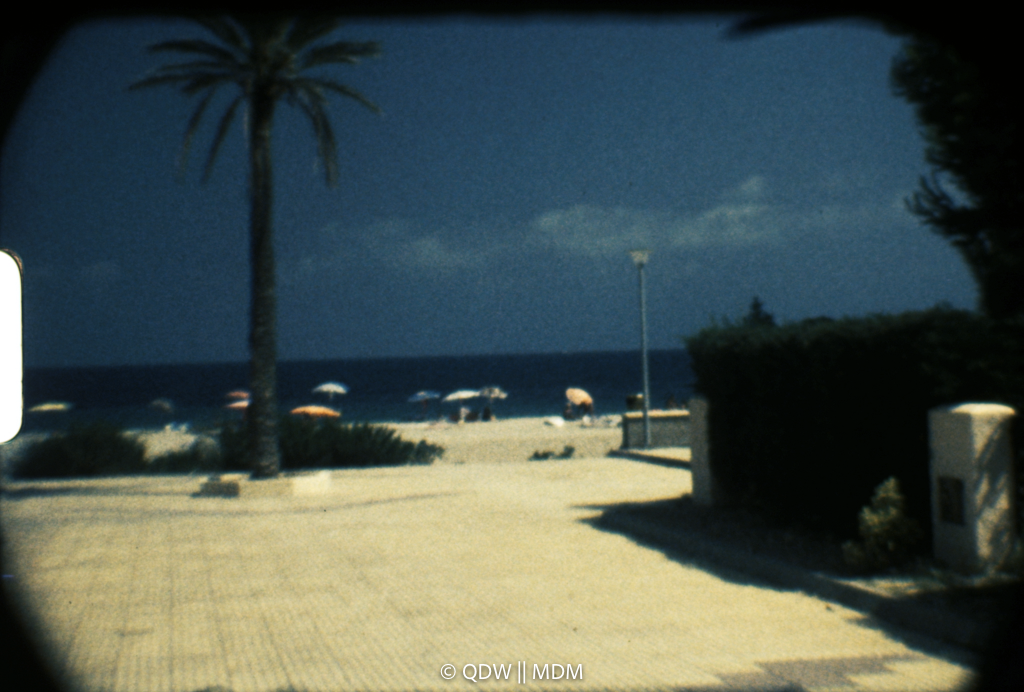 Frame 0257