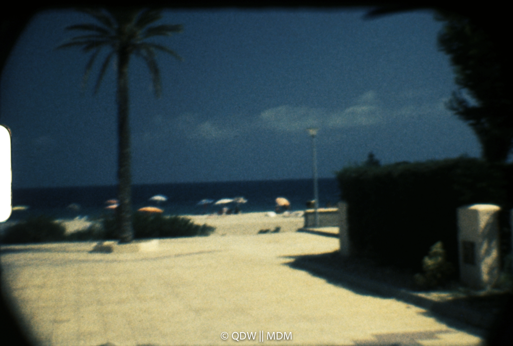 Frame 0259