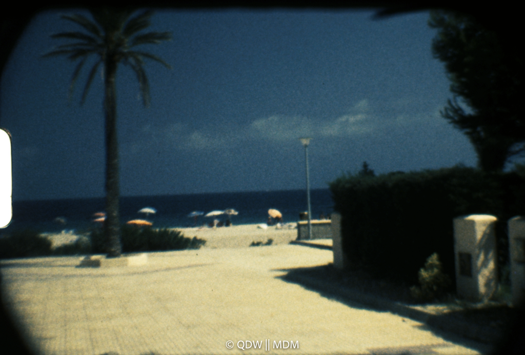 Frame 0260
