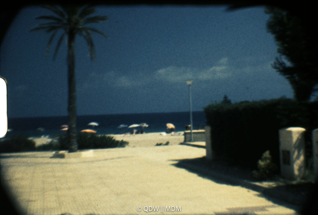 Frame 0262