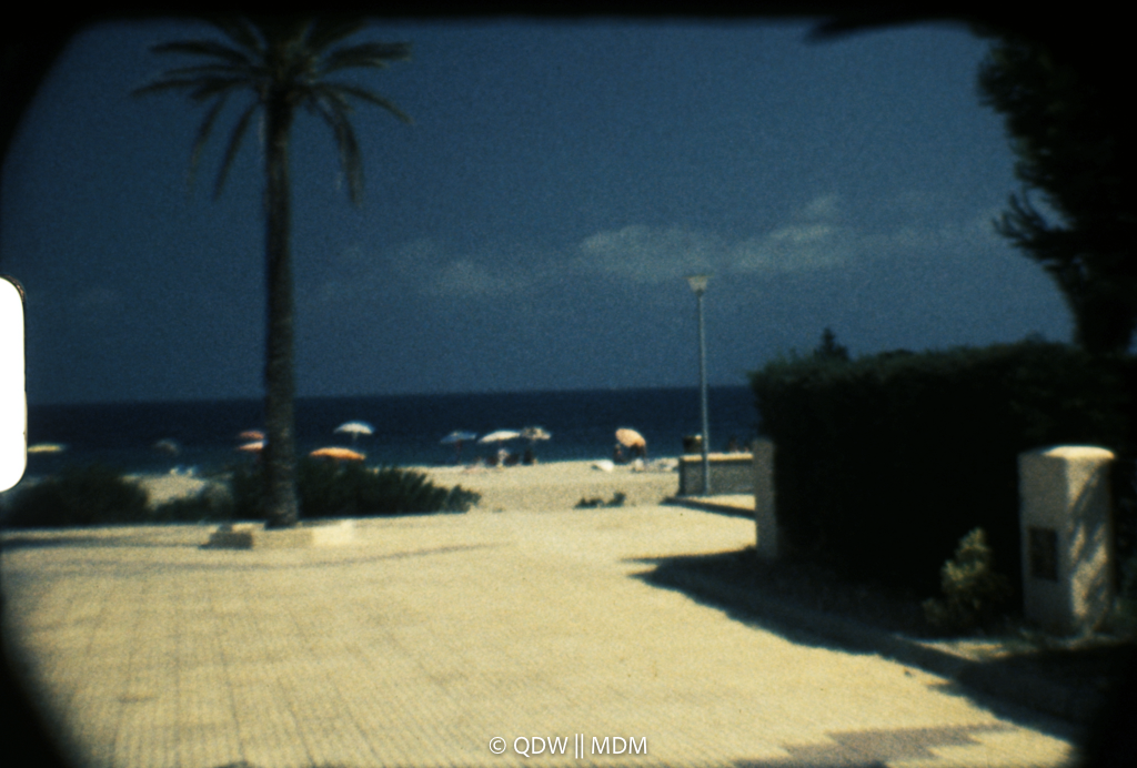 Frame 0270