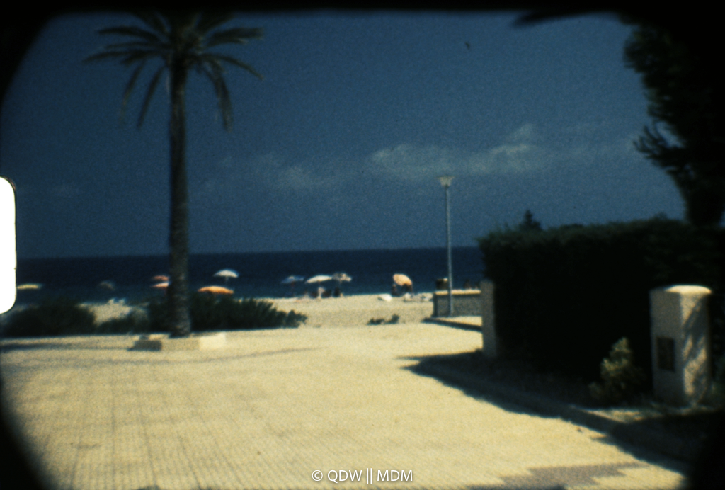 Frame 0275