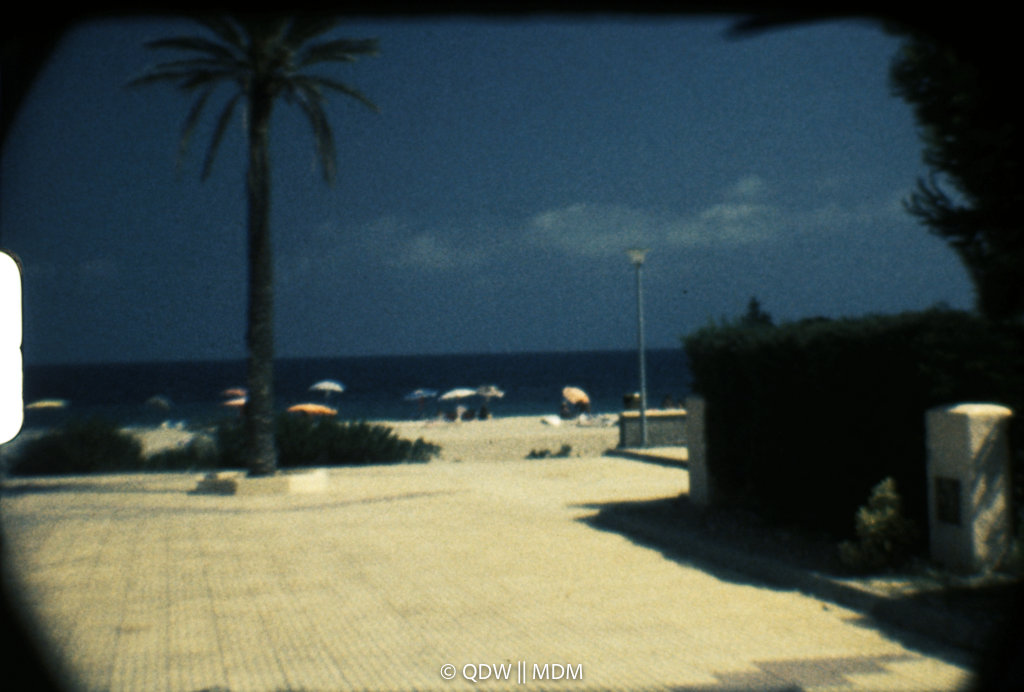 Frame 0277