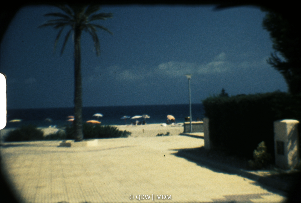 Frame 0282