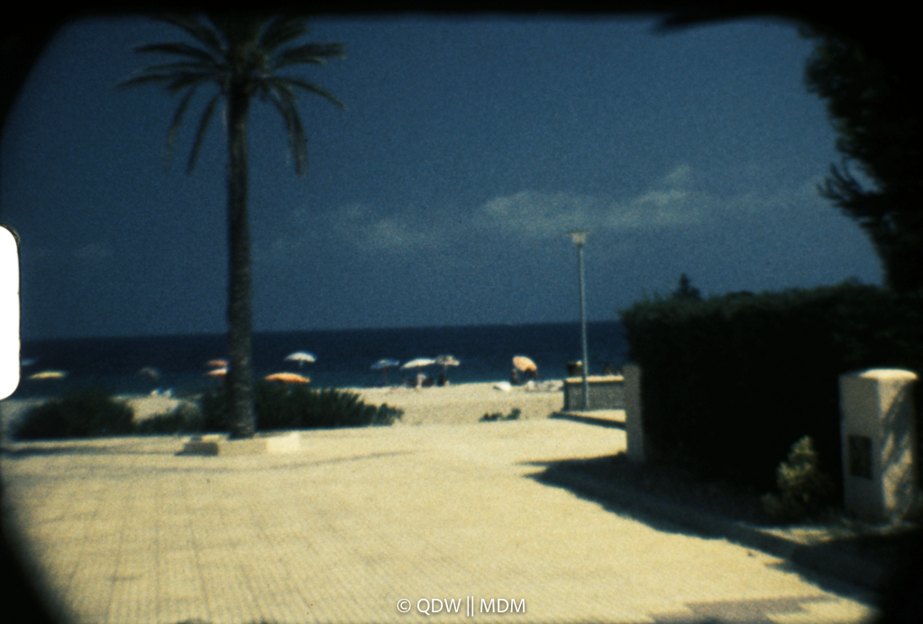 Frame 0285