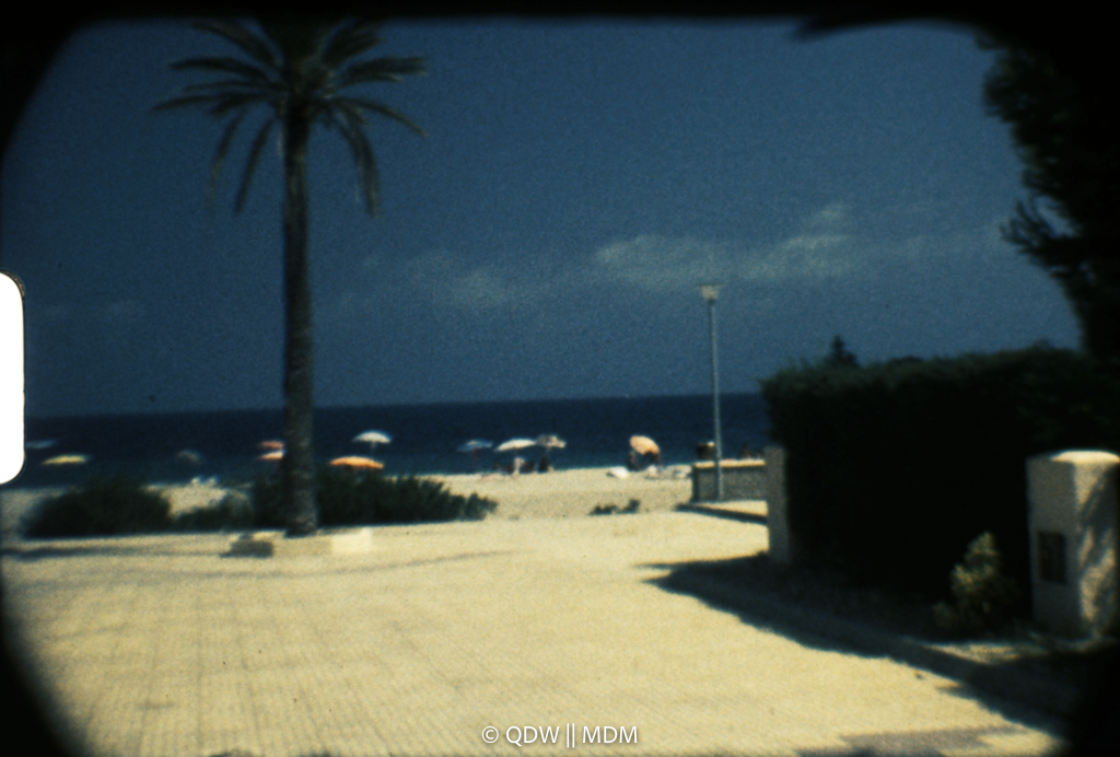 Frame 0289