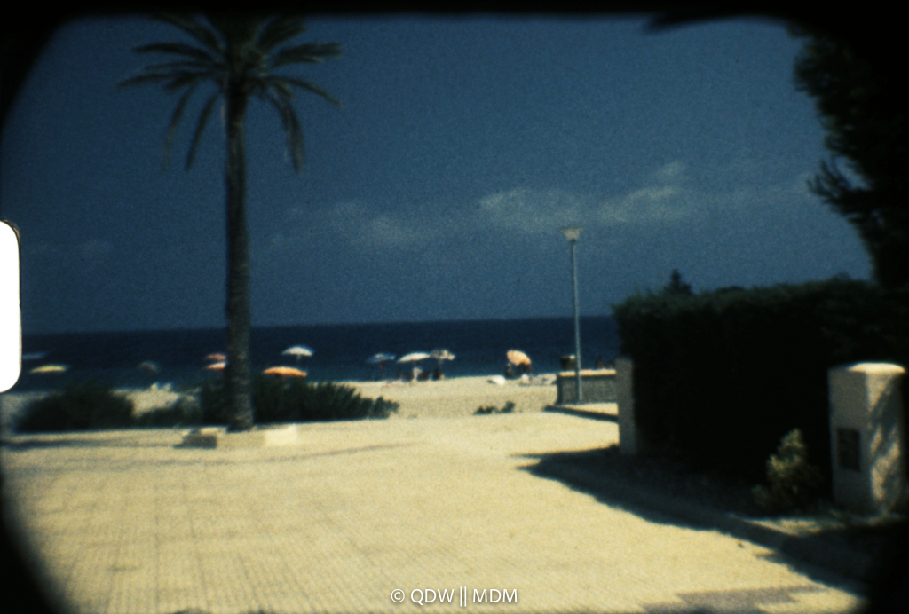 Frame 0291