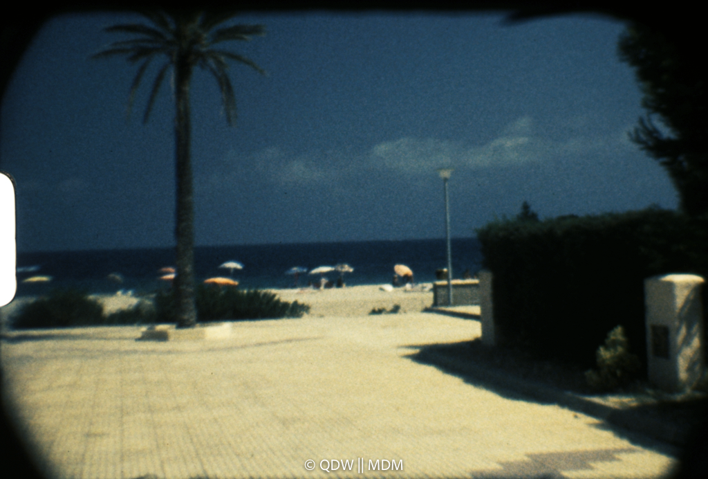 Frame 0294