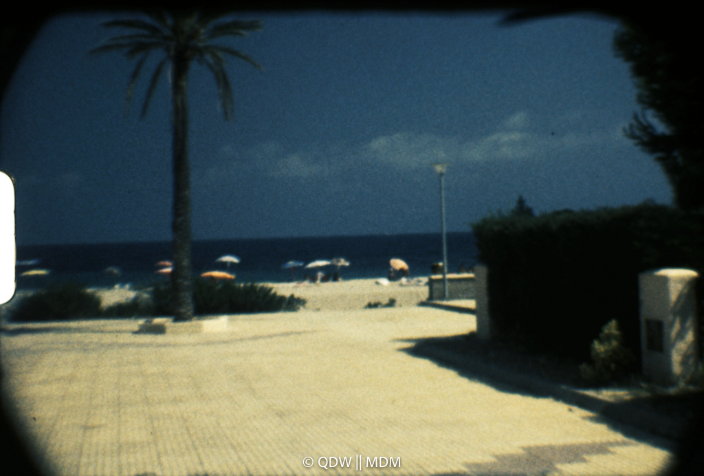Frame 0296