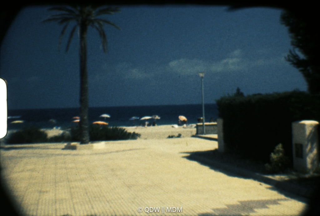 Frame 0299