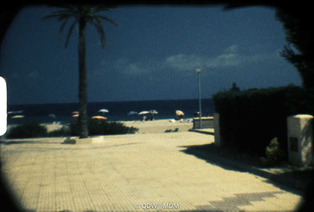 Frame 0301
