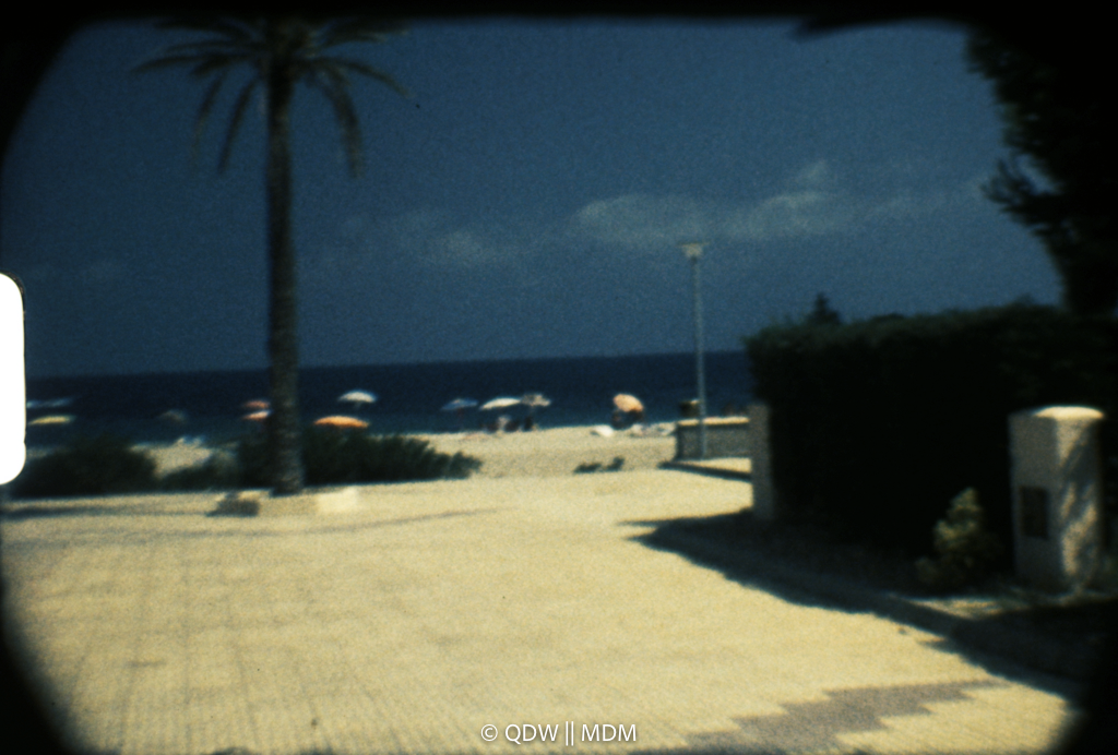 Frame 0302