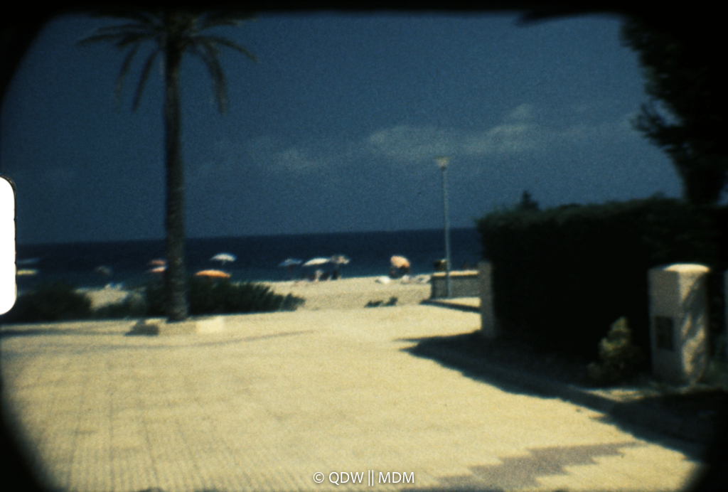 Frame 0304
