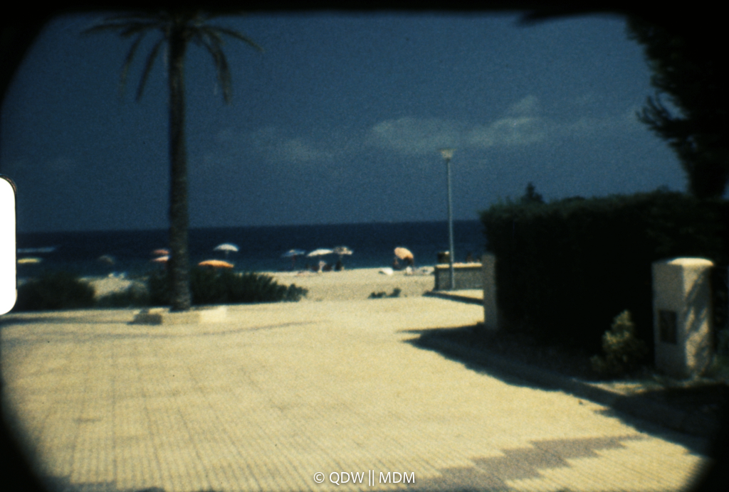 Frame 0313