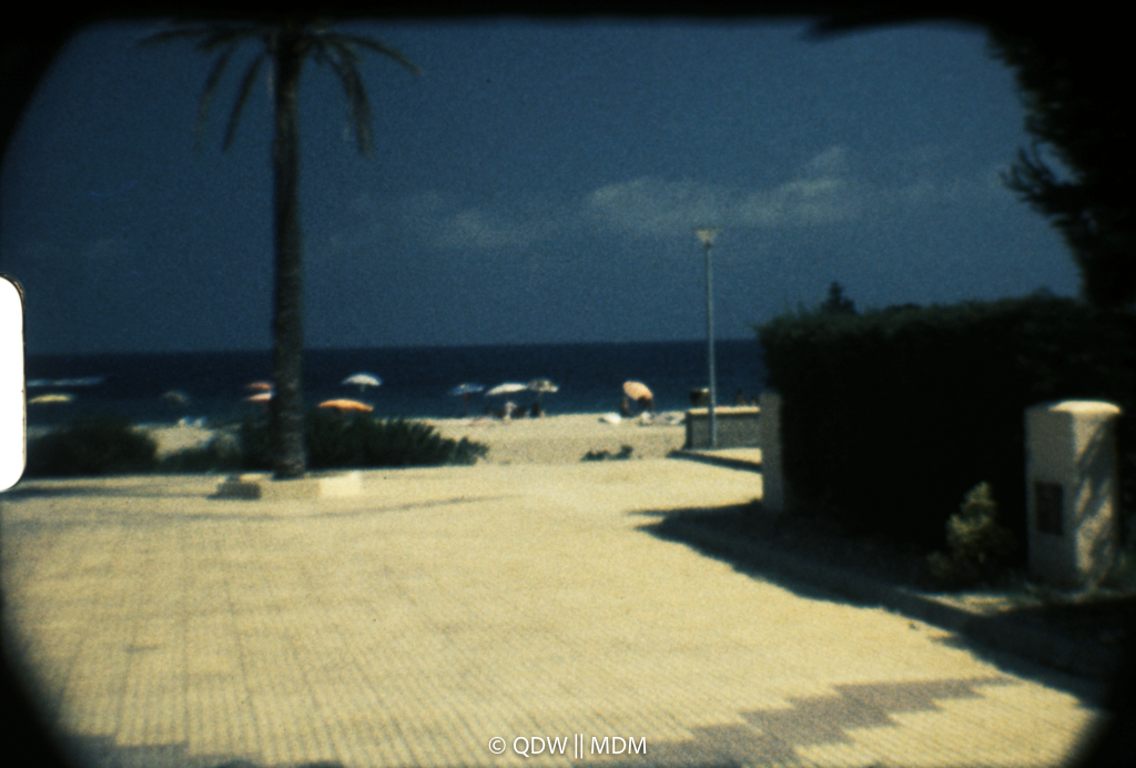 Frame 0316
