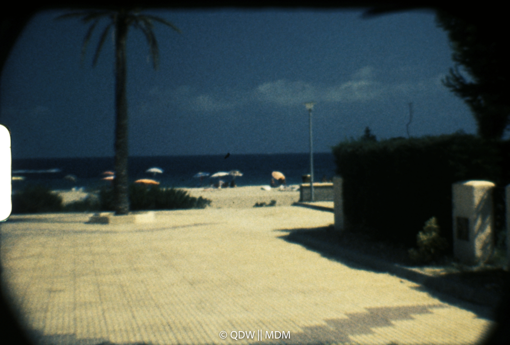 Frame 0335