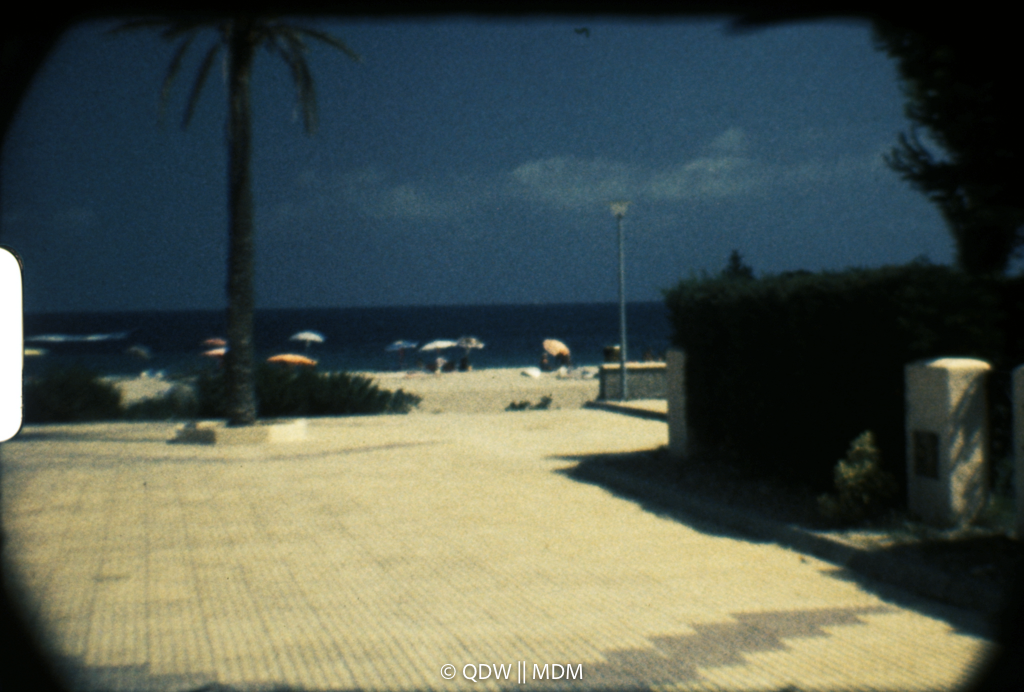 Frame 0342