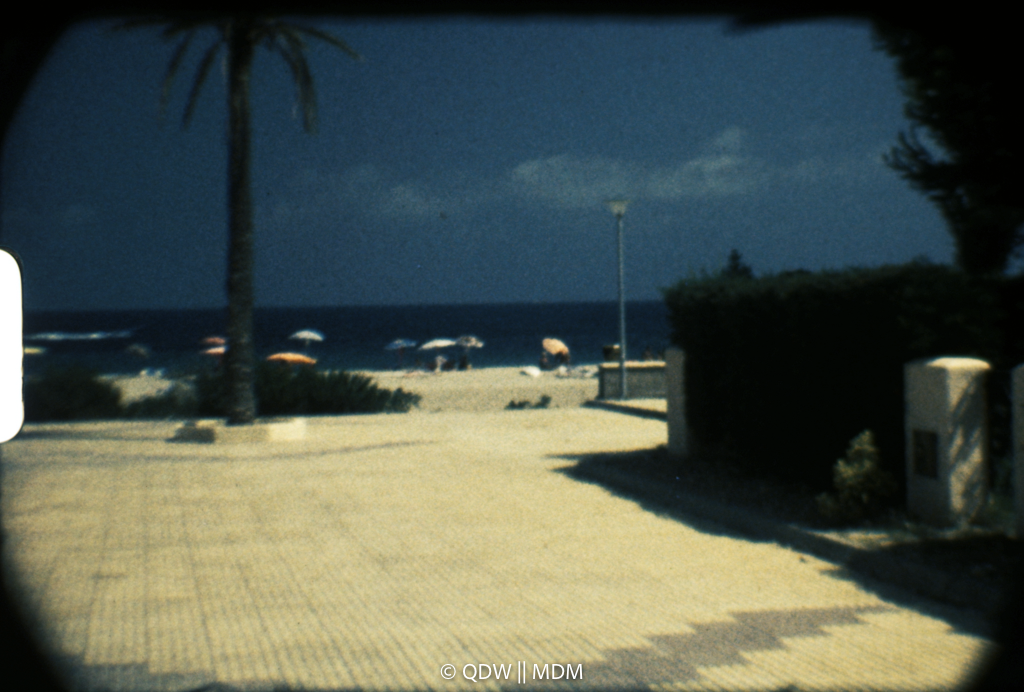 Frame 0344
