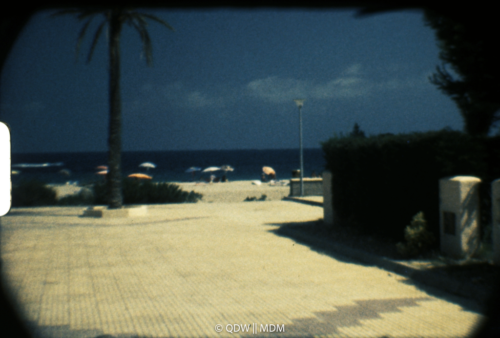 Frame 0345