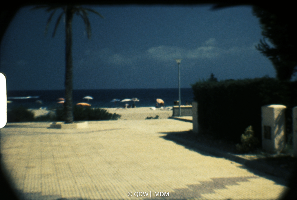 Frame 0348