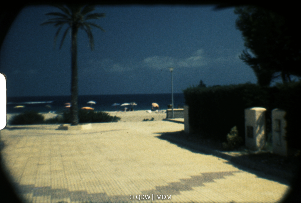 Frame 0357