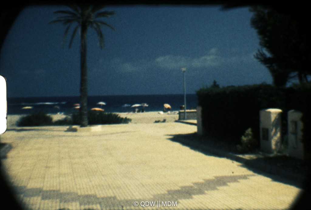 Frame 0365